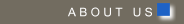 A B O U T   U S 